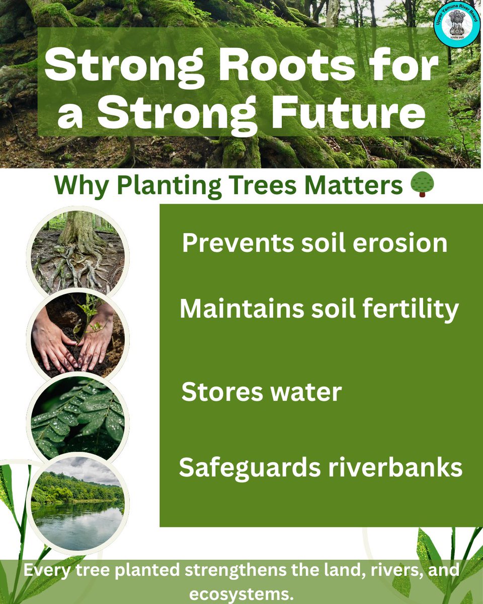 DowrUyrb's tweet image. Strong roots build a resilient future.
Planting trees helps prevent soil erosion, protect riverbanks, conserve water, and strengthen ecosystems.🌱

#PlantATree #GreenFuture #SaveSoil #SaveWater #TreePlantation #SustainableFuture #EnvironmentProtection #GreenIndia #RiverProtection