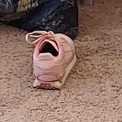 PorPorY1's tweet image. 55555555555555555555555555555555555555555555555555555555555555555555555555555555555555555555555555555555555555555555555555555555555555555555555555555555555555555555555555555555555555555555555555555555555555555