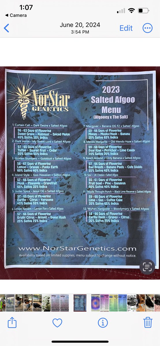 NorStar Genetics tweet media