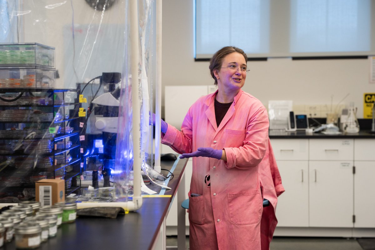 Villanova Engineering tweet media