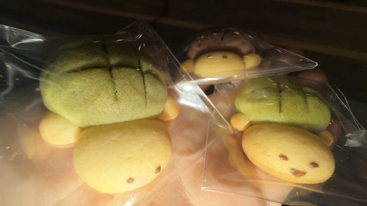 ᶻ 𝗓 𐰁 tweet media