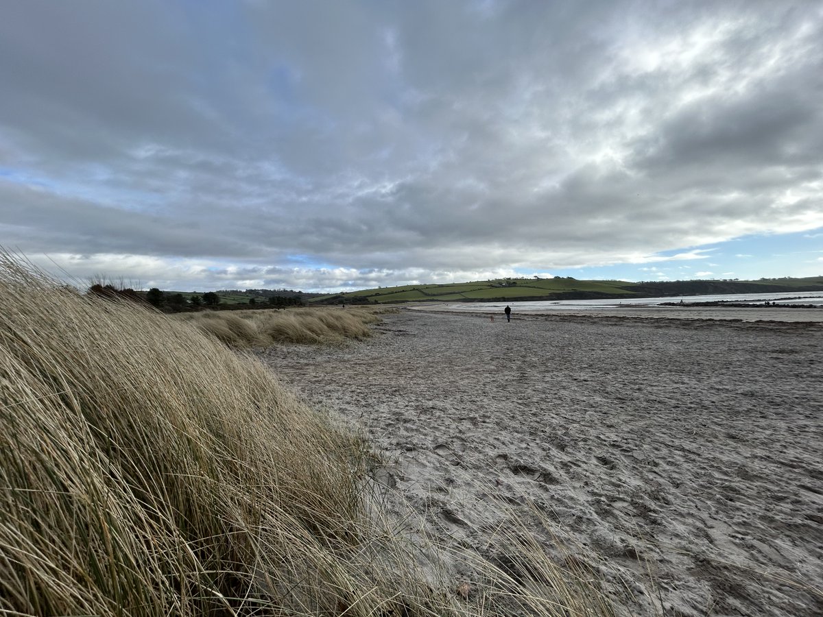 South West Coastal Monitoring tweet media