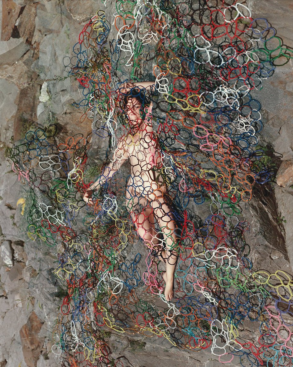 Synchrotania tweet media