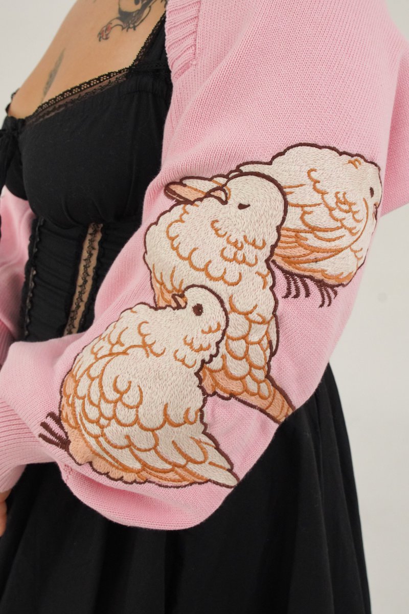 the pigeon 💘 feb 21