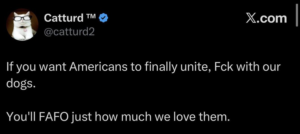 9mmScorpion's tweet image. There were American soldiers throwing dogs off cliffs in Iraq, because they were “Muslim dogs”.