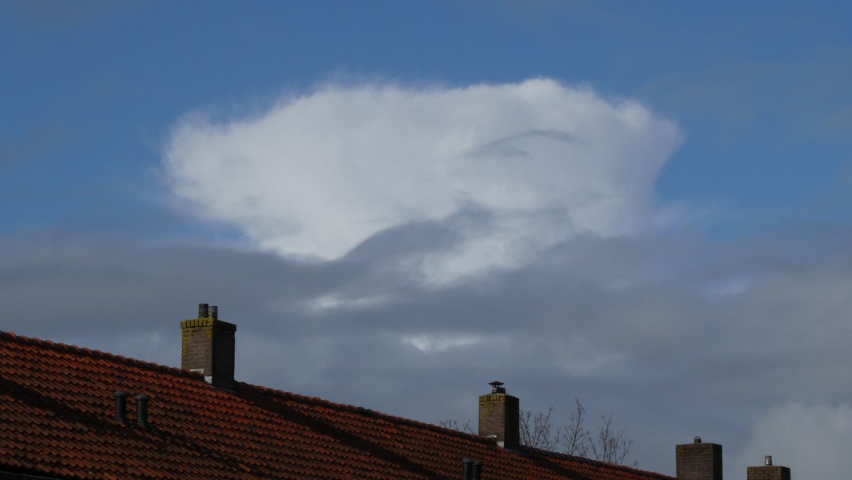 BjT_weer's tweet photo. Goedemiddag
@Weerplaza @weeronline @BuienRadarNL @weerenradar_nl @mrmiddendorp @MeteoVoorne @onwukaa @helgavanleur @StormchaserNL @RaymondKlaassen @WilliamHuizinga @marjondehond @nicolienkroon @marcopverhoef
Een mooie #buienwolk vanmiddag in #Heerenveen #Friesland #aambeeld #bui https://t.co/7g8kCquIj5
