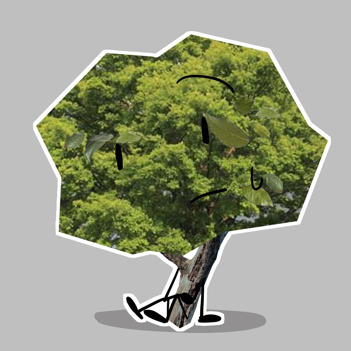 Daily Tree tweet media