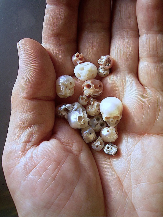 Japanese artist Shinji Nakaba carves pearls into skull-shaped jewelry.
