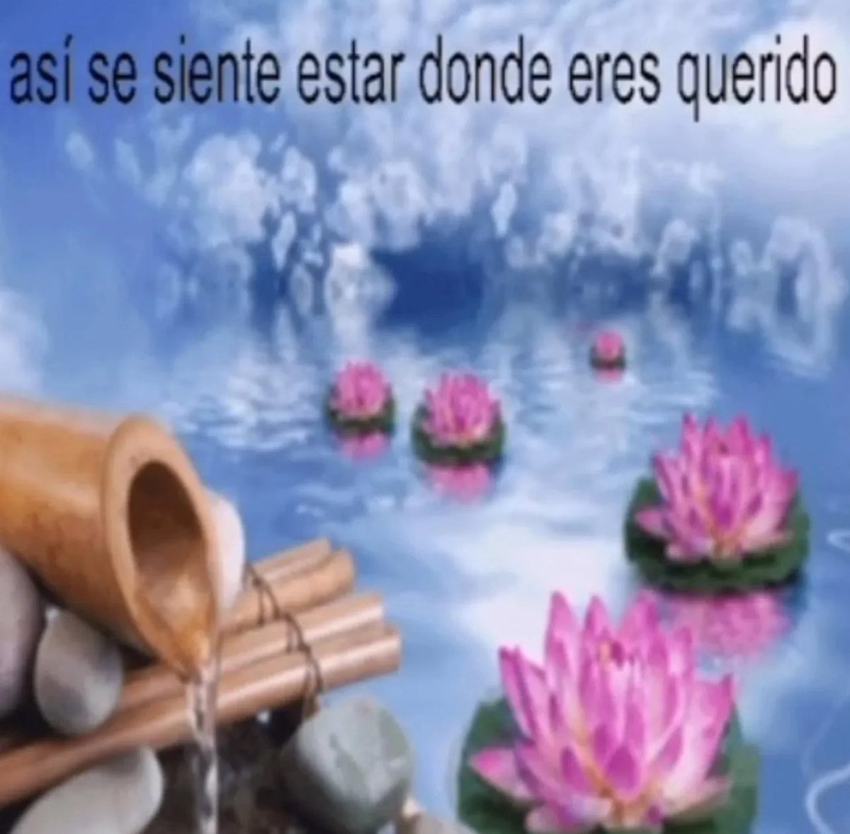 emociones amarillas (@conoloracigarro) on Twitter photo 