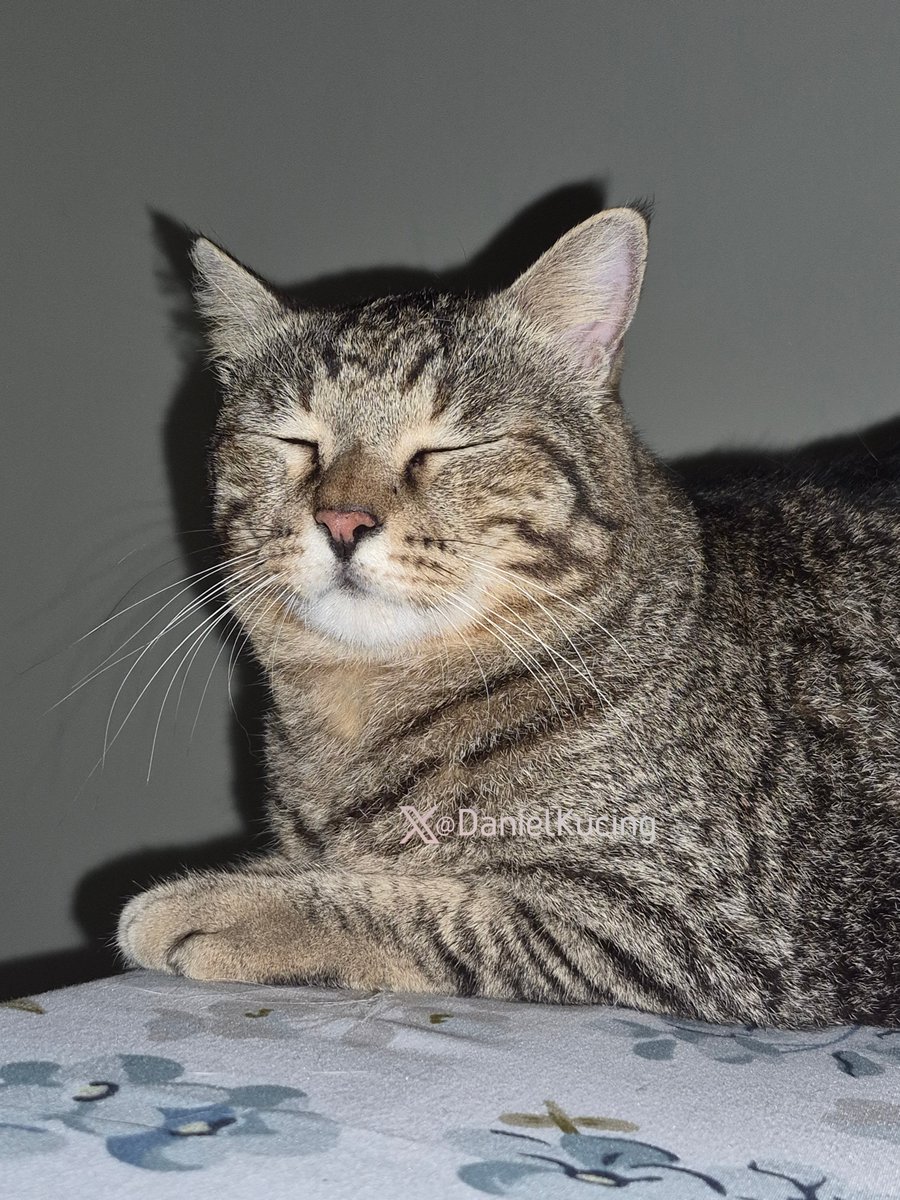 life updates: still handsome 😎✨
- ipul