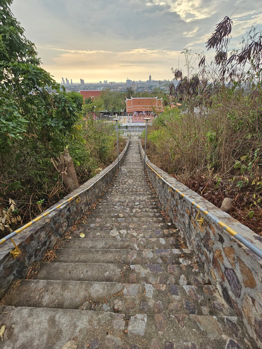 Johnny Mx tweet media