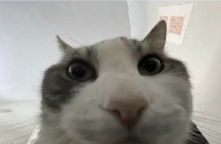 Praise The Monocle tweet media