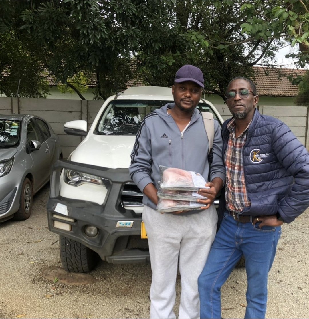 GamufromZim's tweet photo. @TeamFuloZim ...please help me thank @KaluluMeats ...my brother was given 5 Rabbits this afternoon..Thank you @KaluluMeats👏 ...@KingJayZim and your Team, THANK YOU 👏 https://t.co/yBH7O8YShW