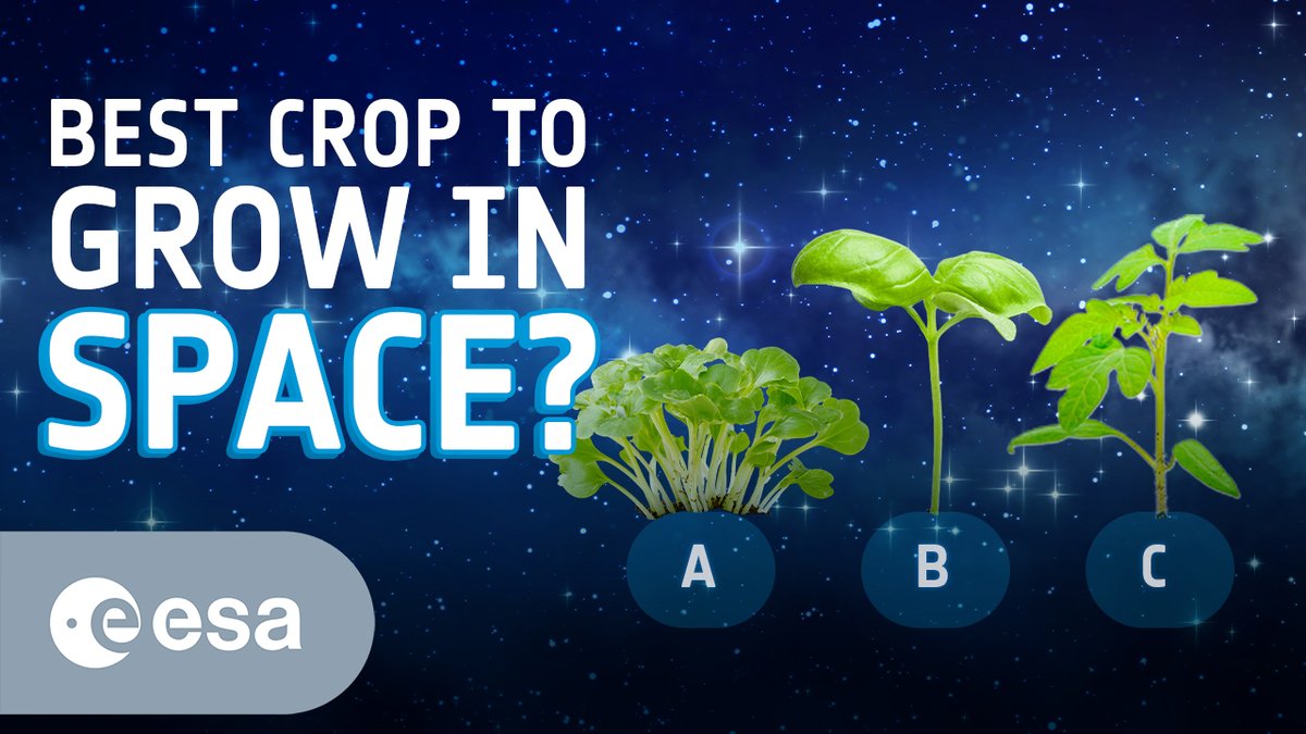 ESA Education tweet media