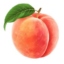 Ahmed Wagih tweet media