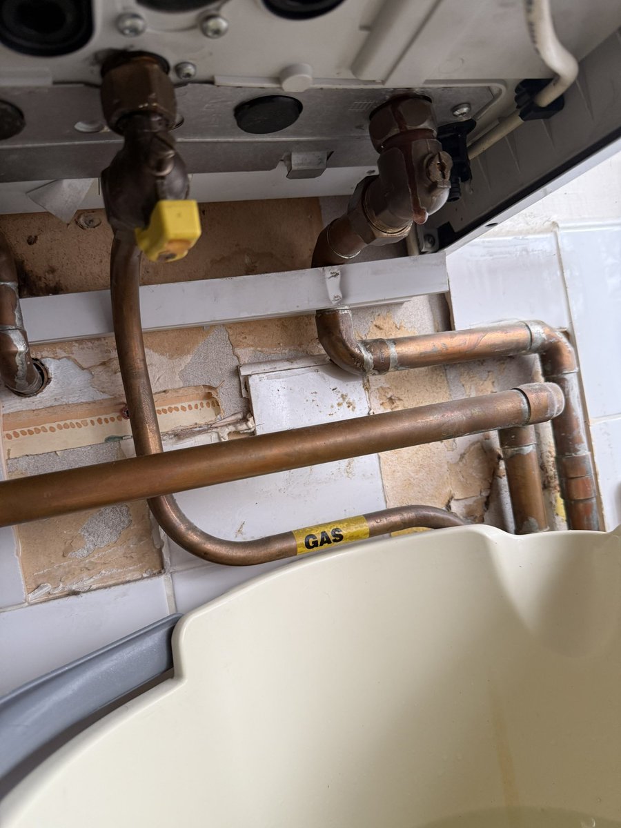 Daniel Gray tweet media