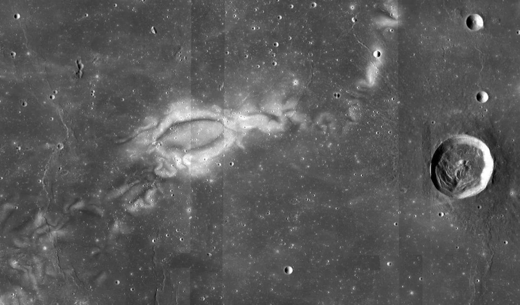 Jack Fischer tweet media