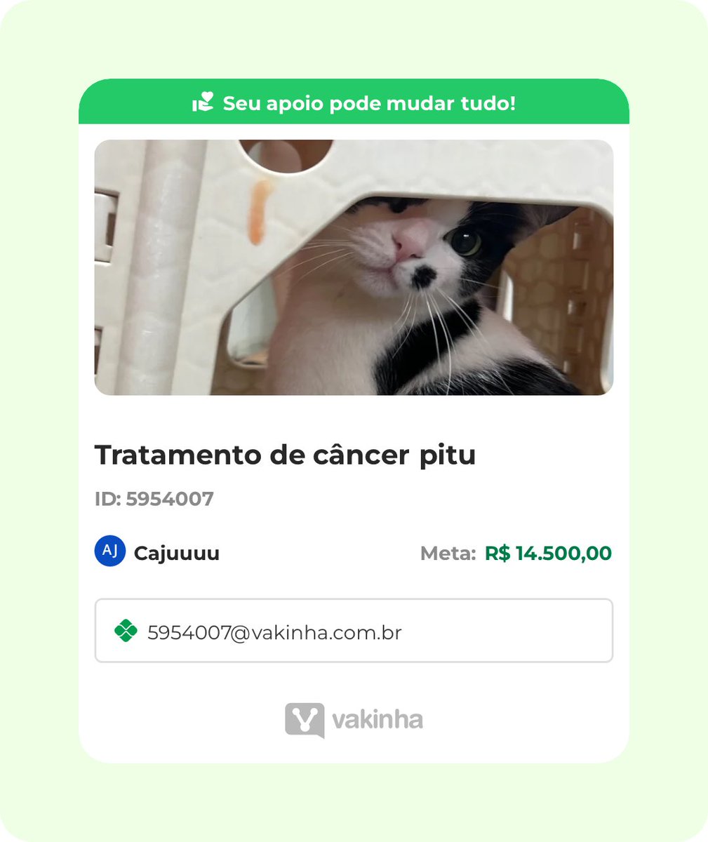 anapizzaiola's tweet image. Me desculpa pedir dinheiro novamente. 
Compartilhem ou doem
Estou no 3 do médio e não consigo trabalhar pois estou estudando para os vestibulares
Estou desgastada emocionalmente 

vakinha.com.br/vaquinha/trata…