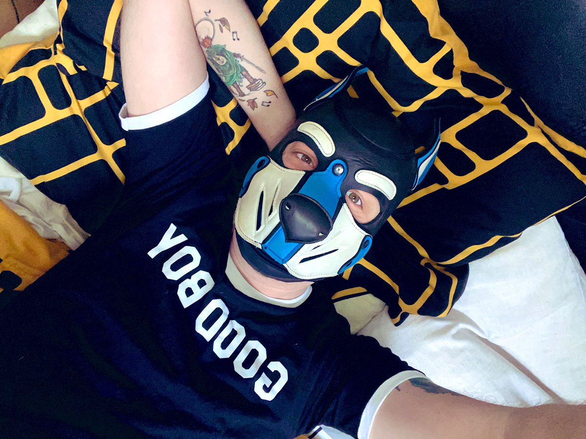 Slush Puppy (Cobalt) tweet media