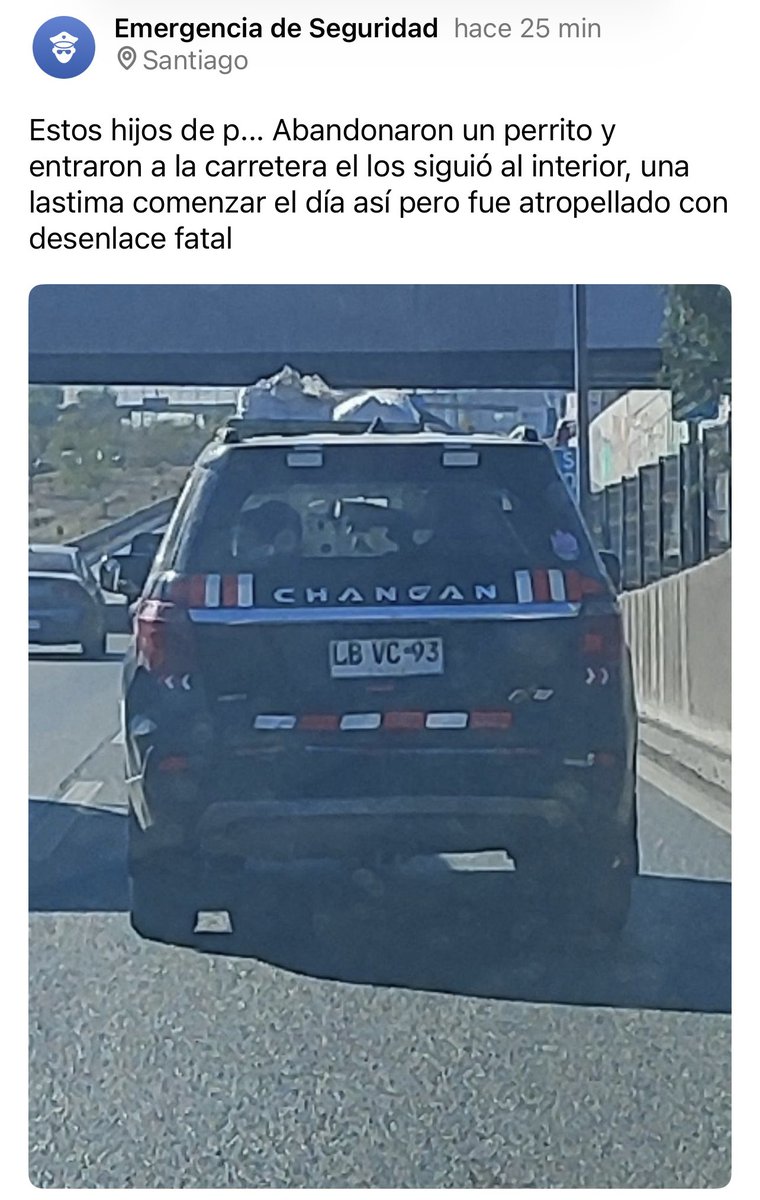 Pao Dragnic (@paoladragnic) on Twitter photo 