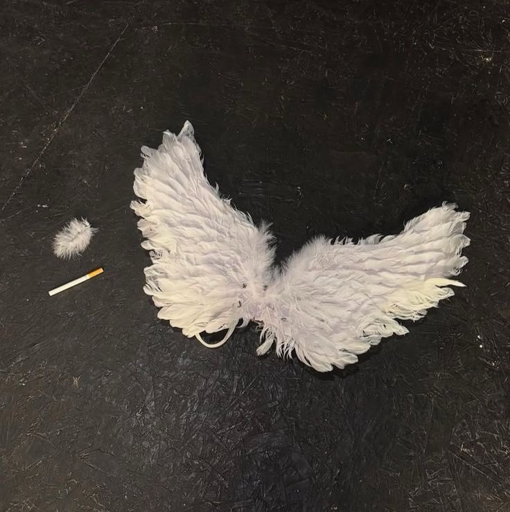 𖤐悪夢 (@_c0dein) on Twitter photo 