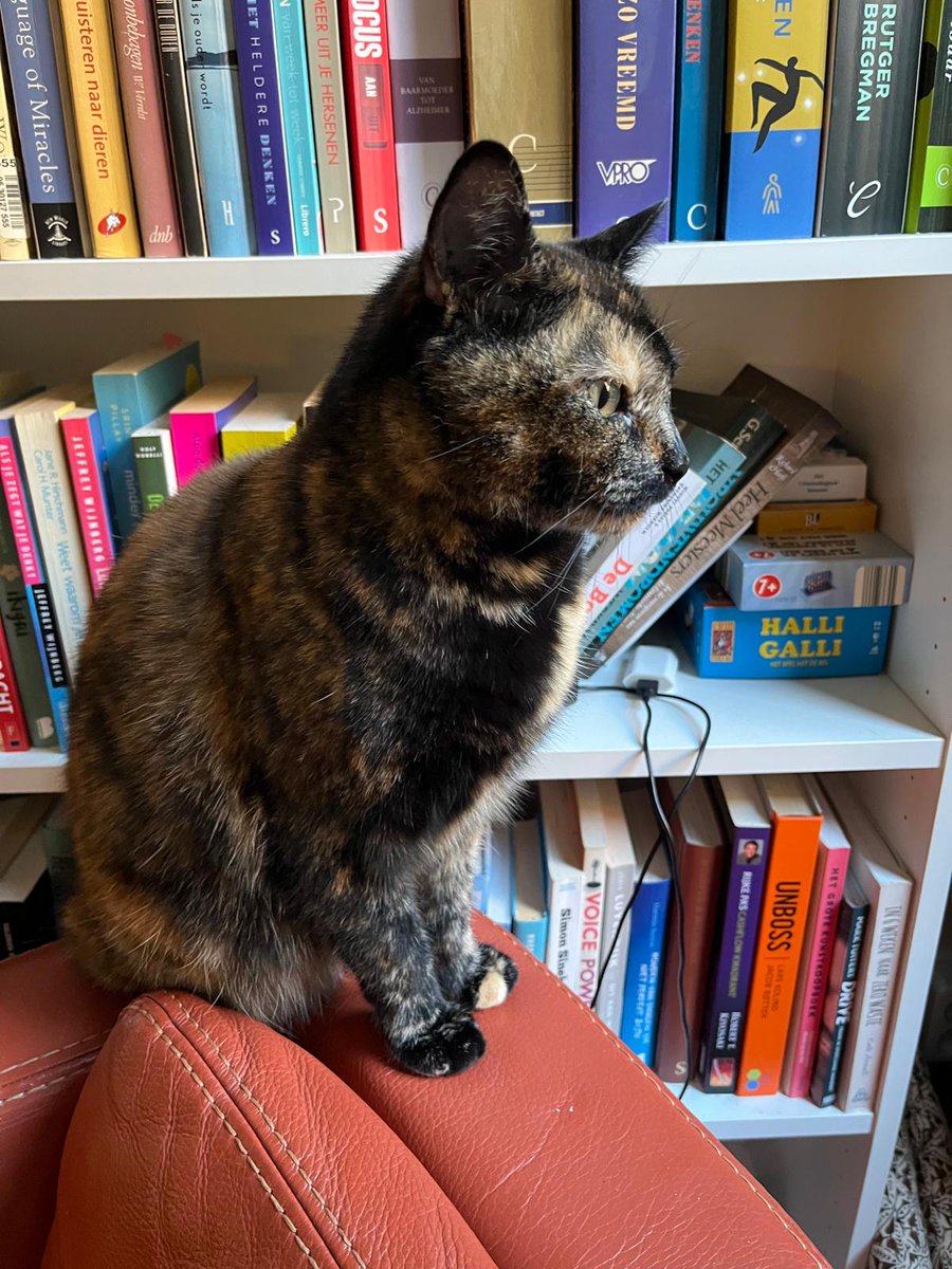 Mevrouw de Advocaat tweet media