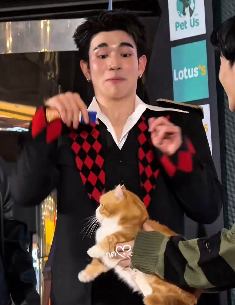 ไหว้ม๋า                                          สะดุ้งแมว