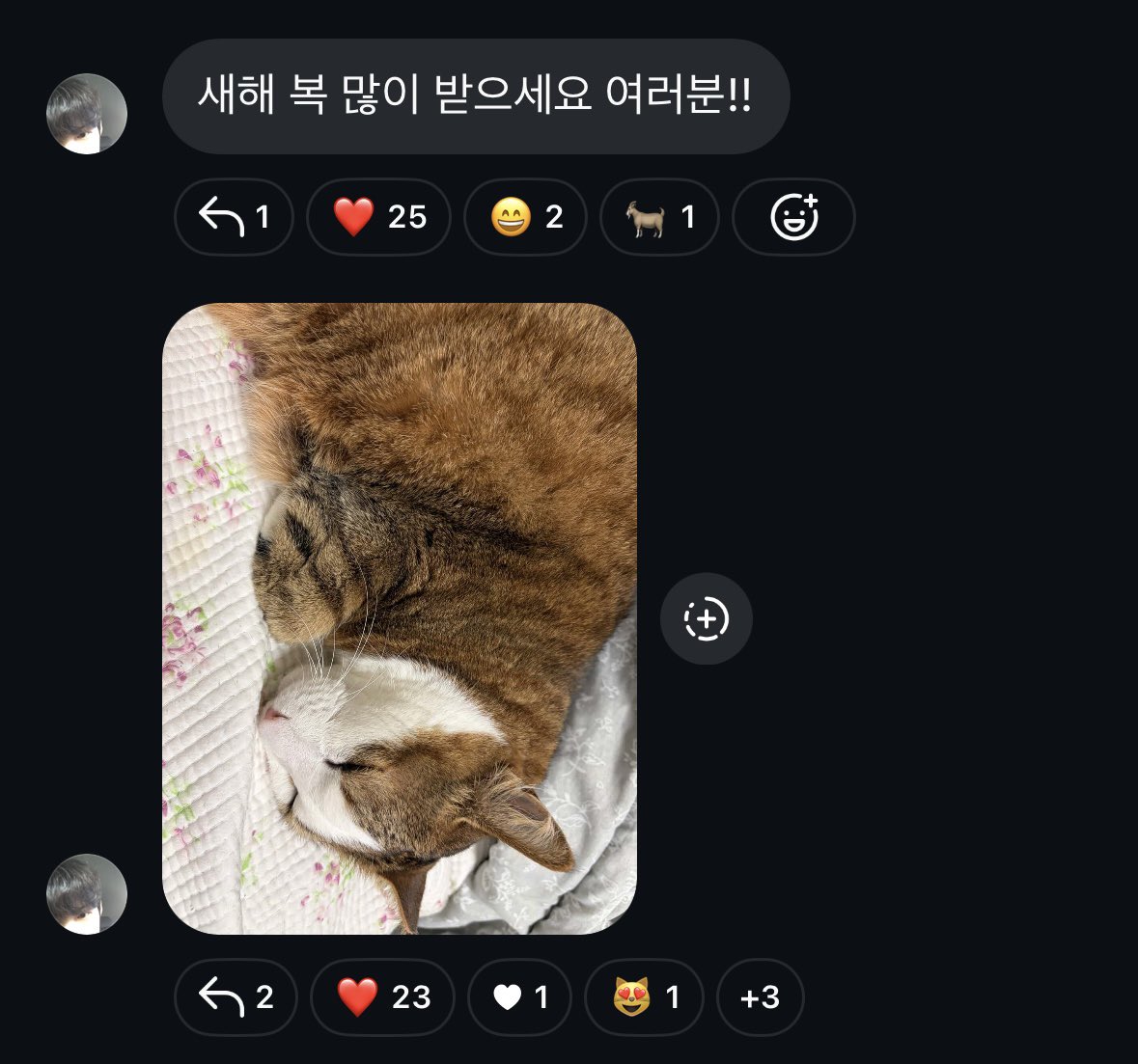sowtmwithu's tweet photo. 🧧🐈 https://t.co/MLSxHDYvu7