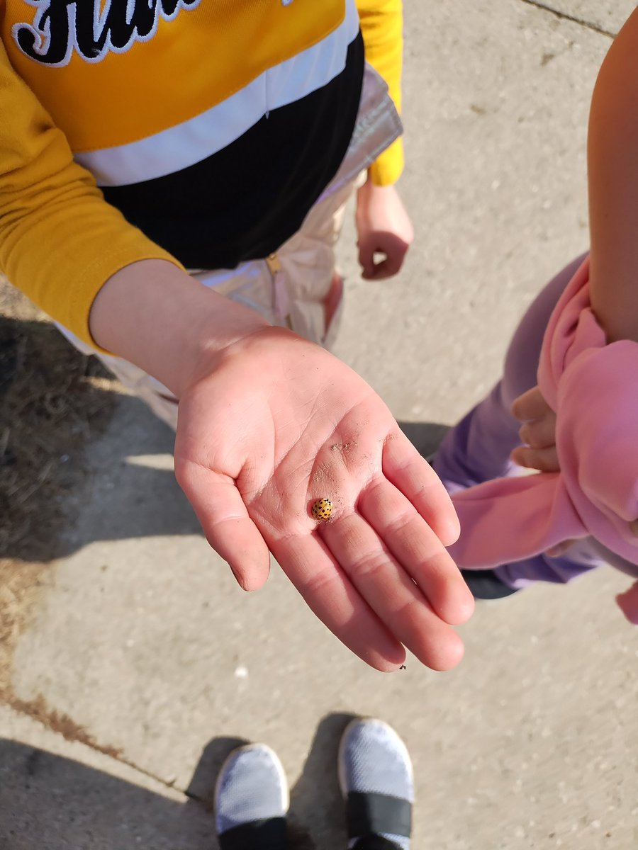 Tyler Ruane tweet media