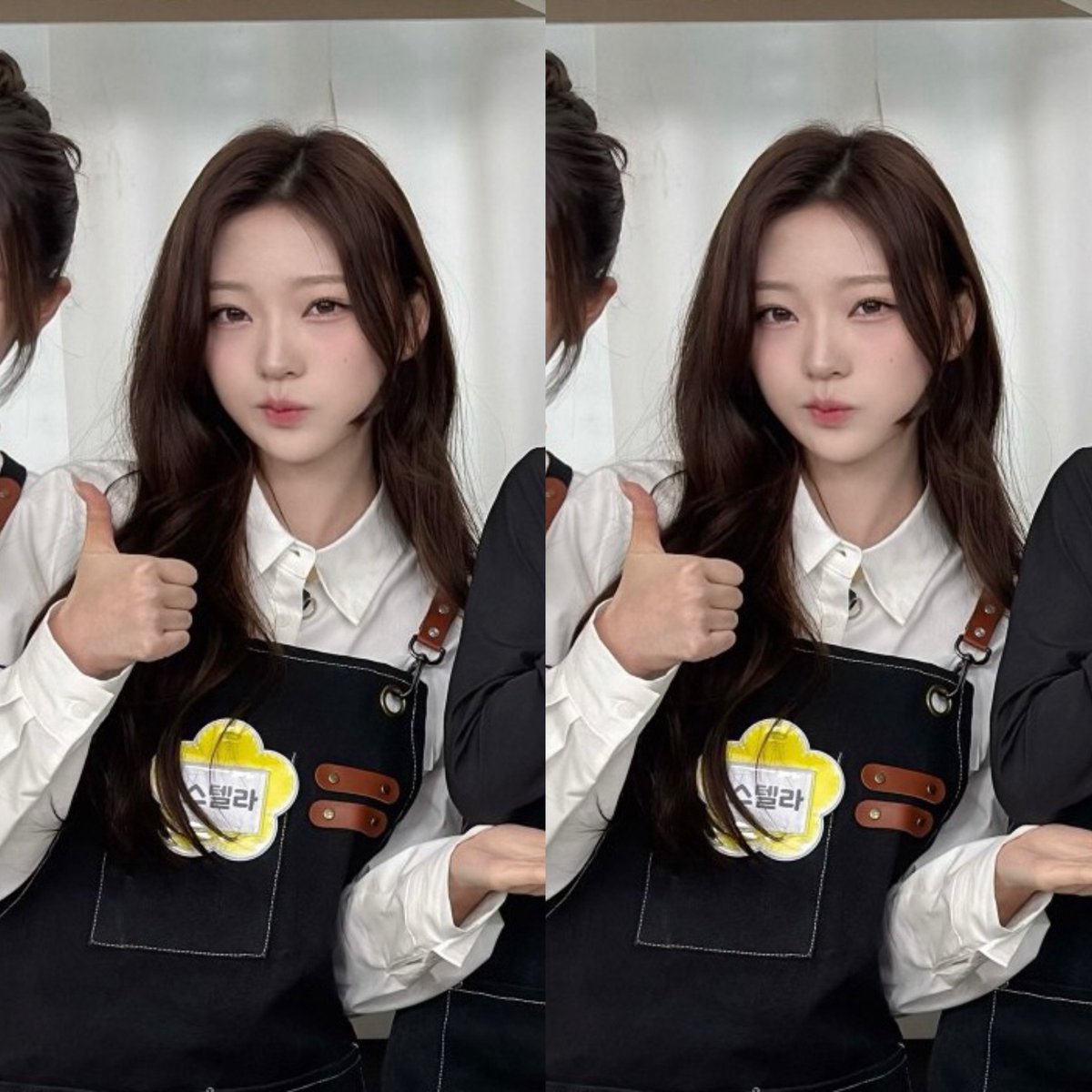 스텔라 얼굴 설명할 때 이 사진 보여주면 됨
토끼인데고양이고날카로운데똥그랗고귀여운데차가움