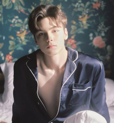 _Kpop_Stats_'s tweet photo. Happy 28th birthday to #VERNON of #SEVENTEEN! https://t.co/y8rGyErihW