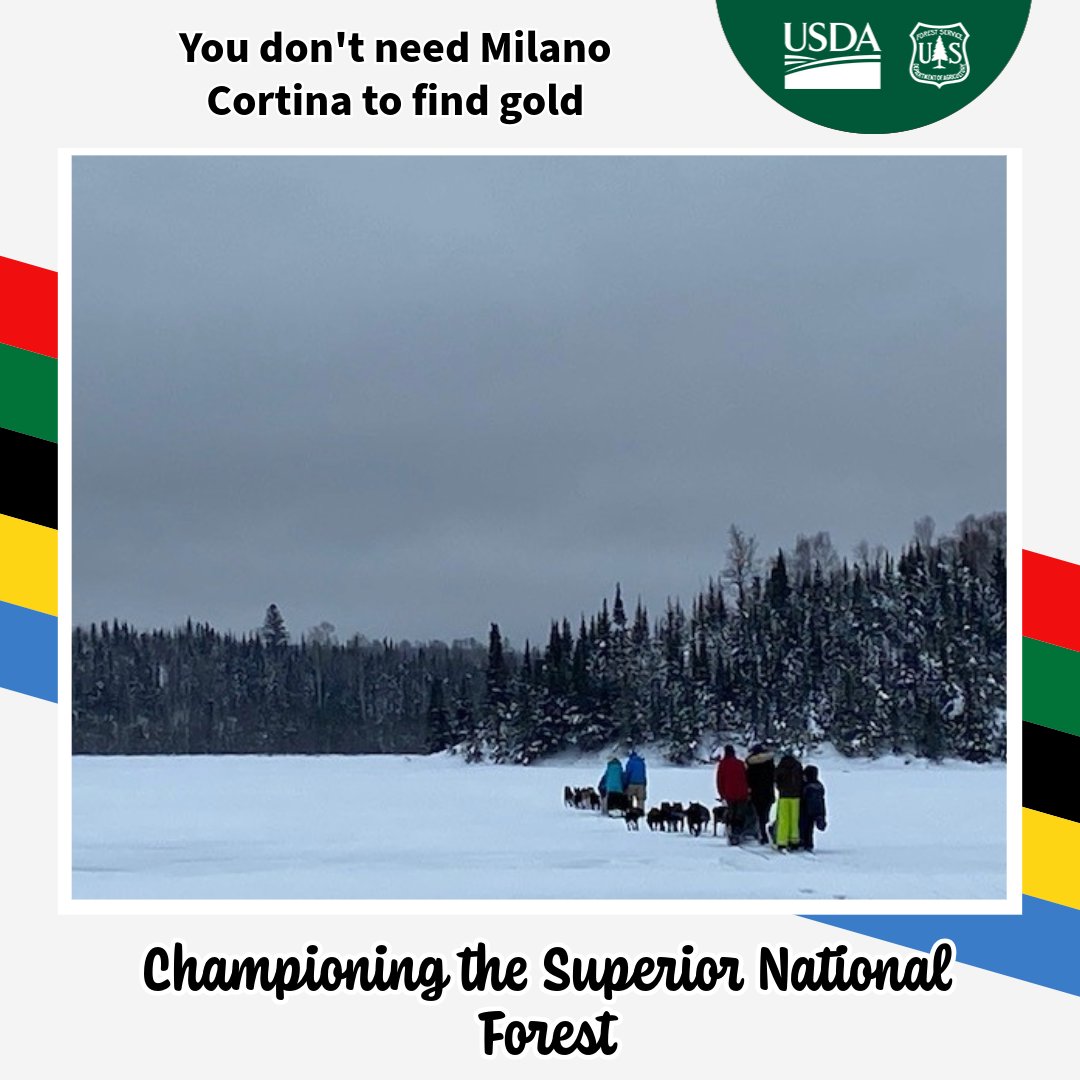 SuperiorNF tweet media