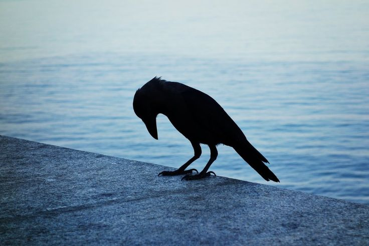 MooreOver tweet media