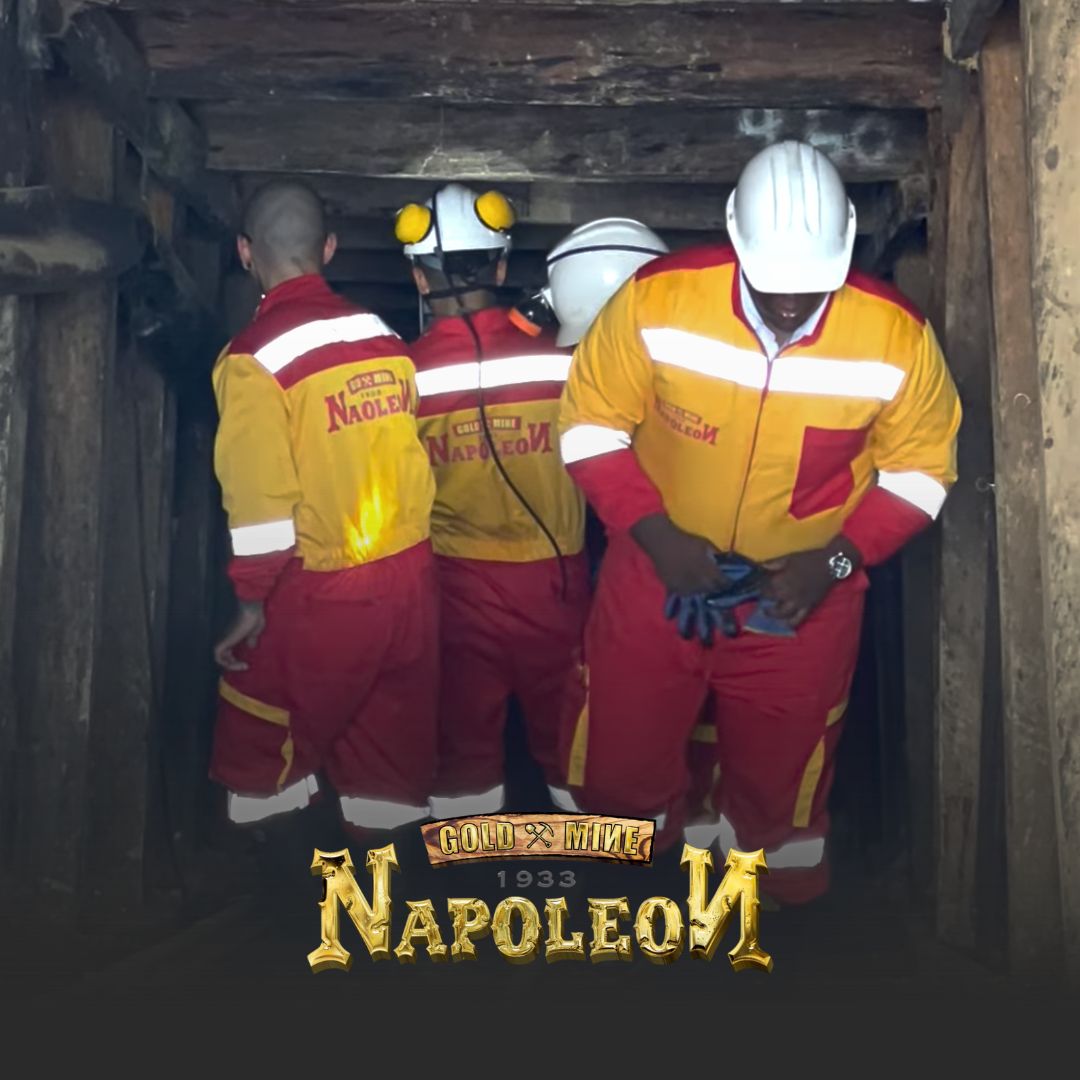 Napoleon Gold Mine tweet media