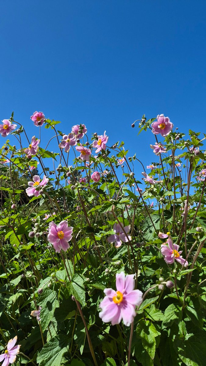 IbargurenM (@ibargurenm) on Twitter photo 