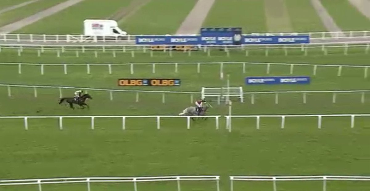 The Race Horse Guy tweet media