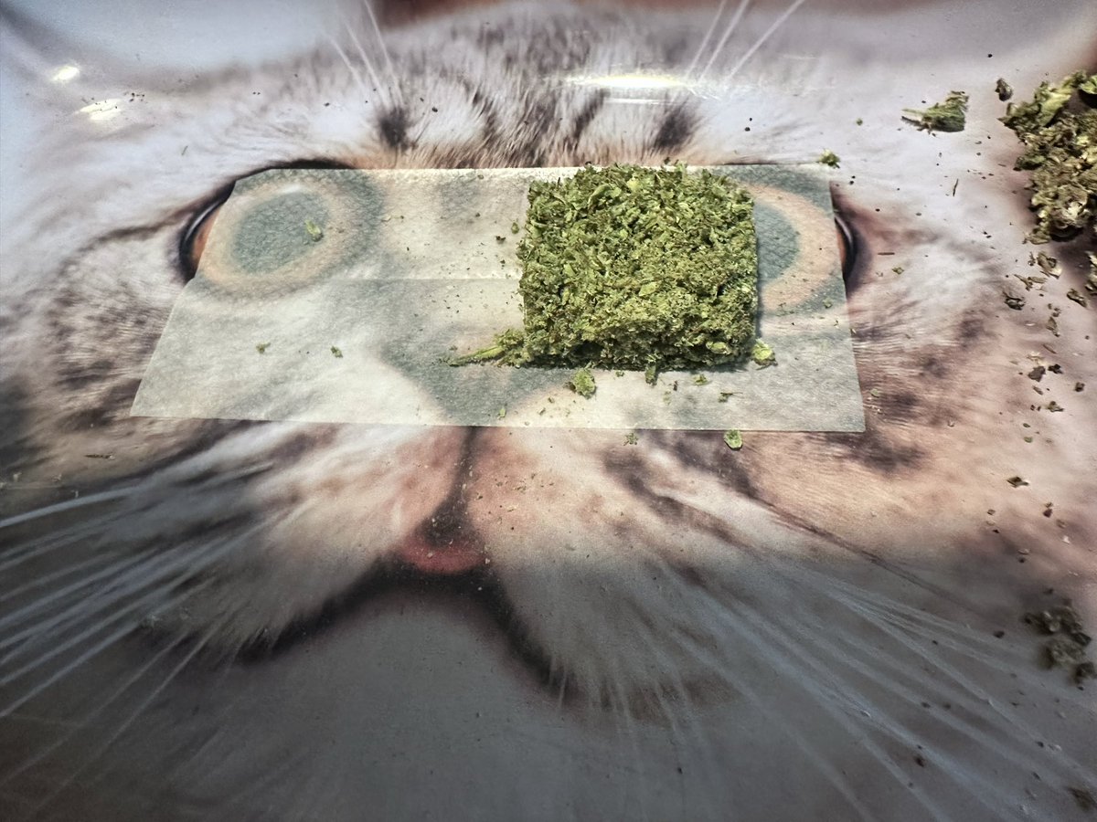 Couple beaters for the day. Bout to drive the box around town