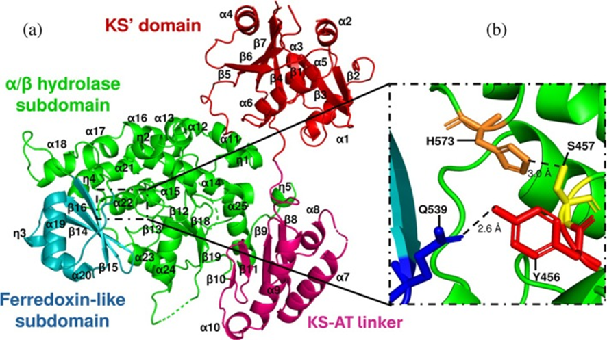 moncalig tweet media