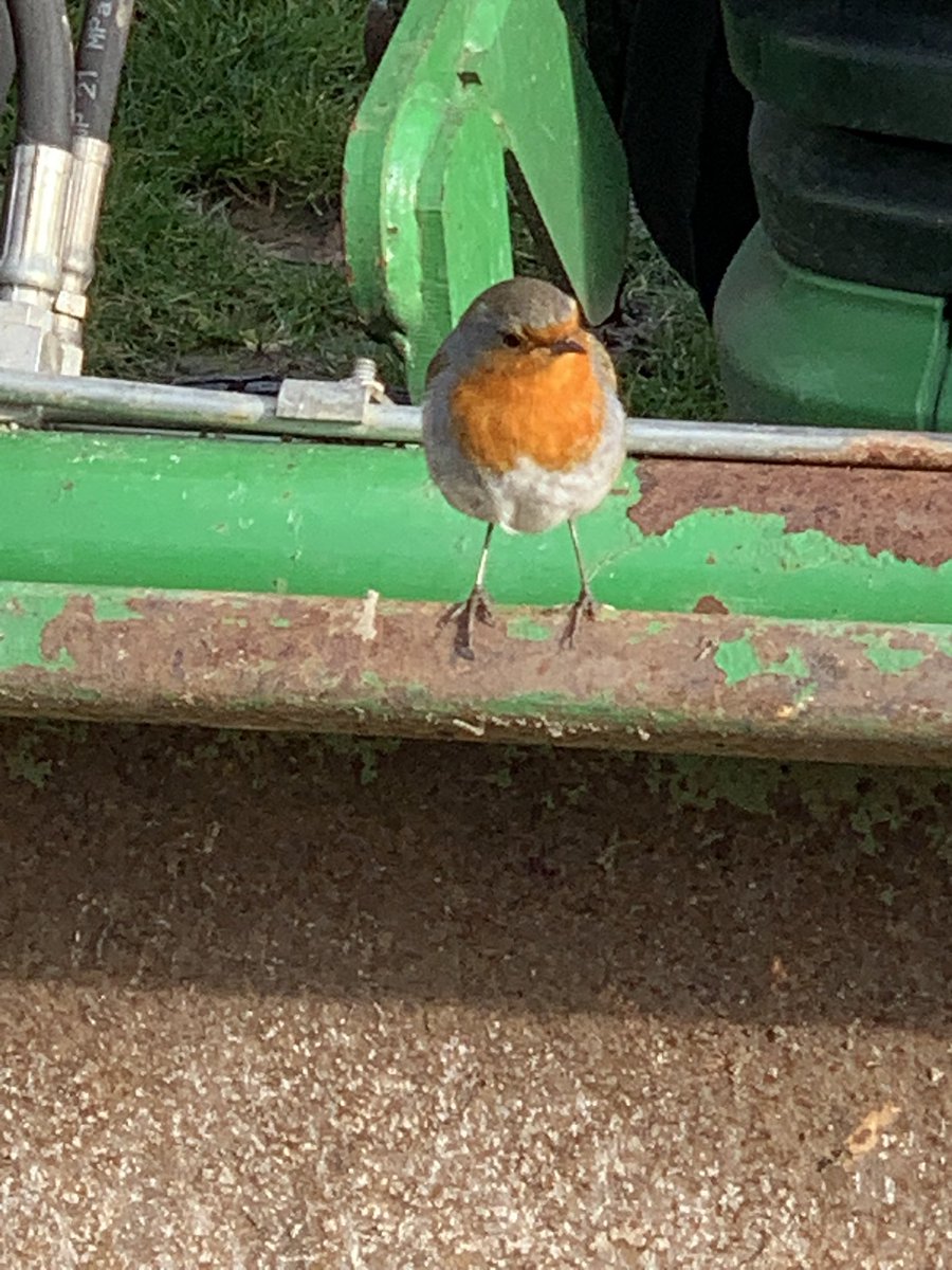 Chris Milnes tweet media