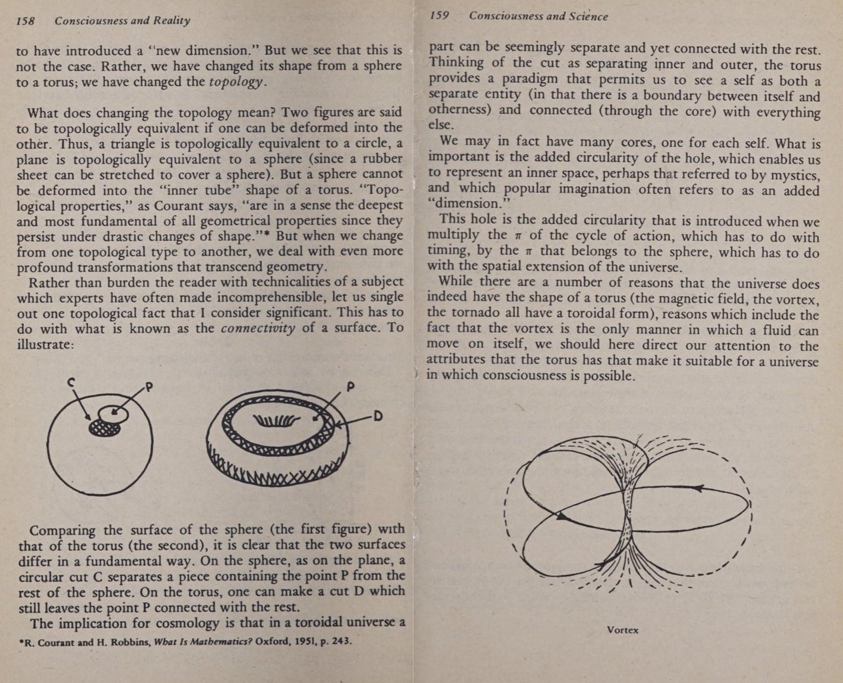 Shamanic Depressive Gymnosophist (book in bio) tweet media