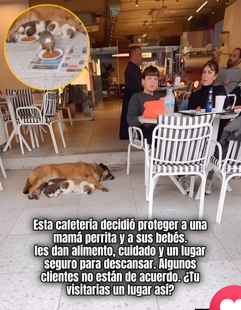 marianela84122's tweet photo. Que harías tu ? ( No se cual lugar es ) https://t.co/AJDkyIENav