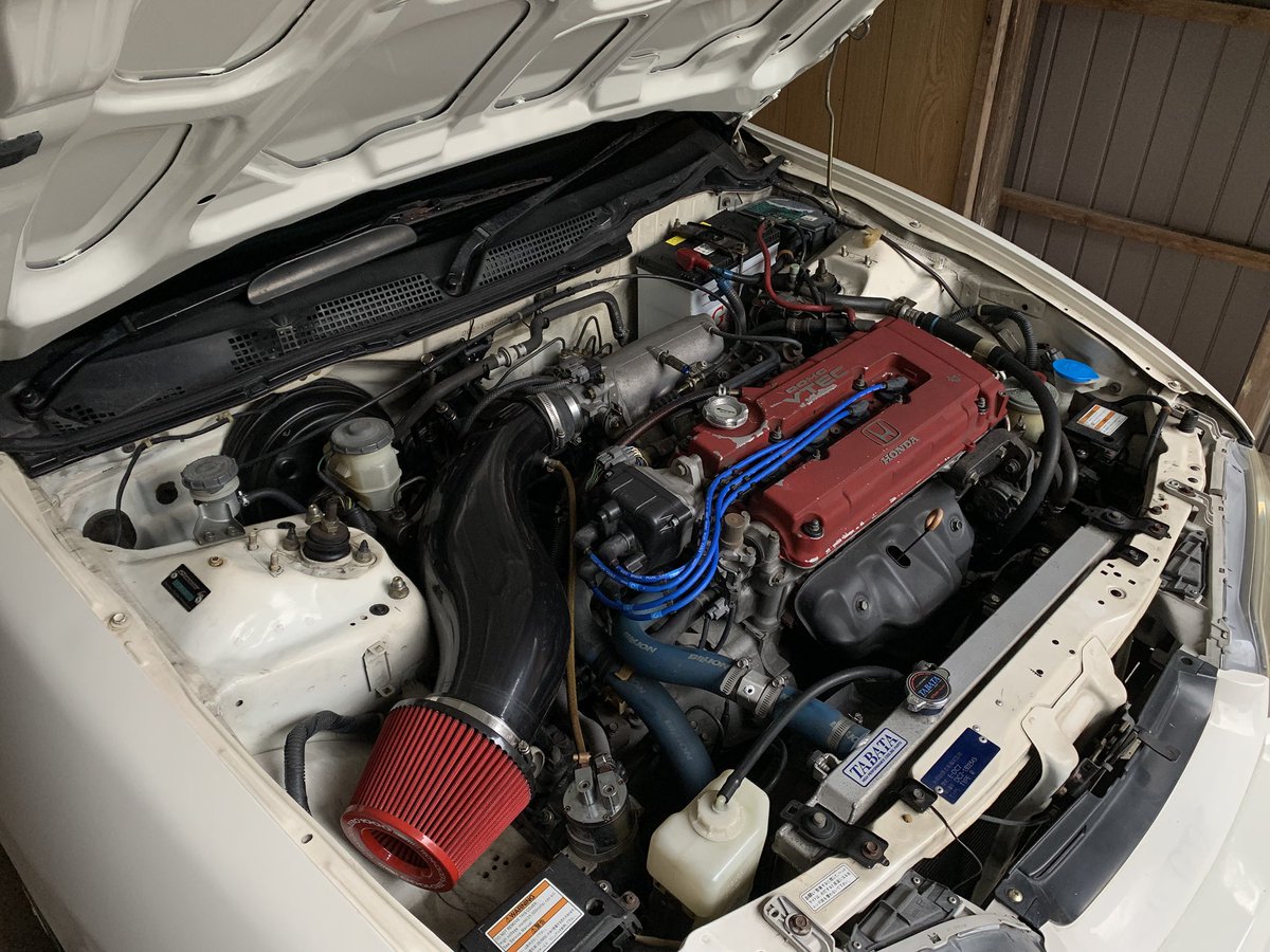 いぬたつ tweet media