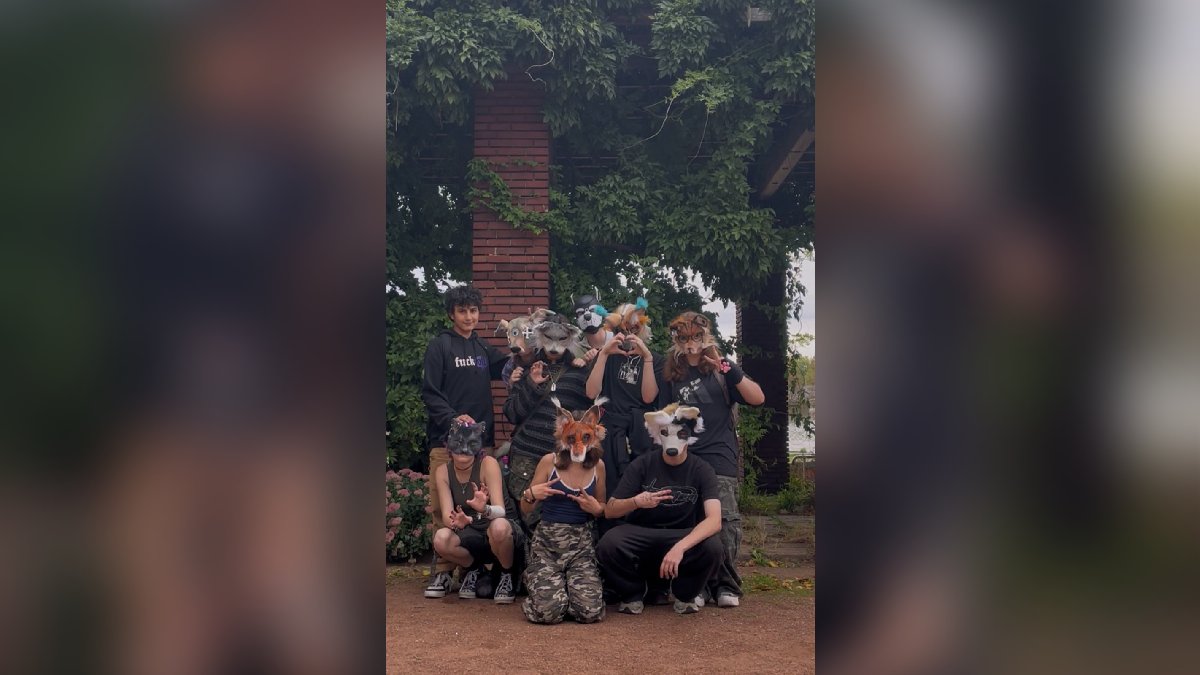 Cooperativa tweet media