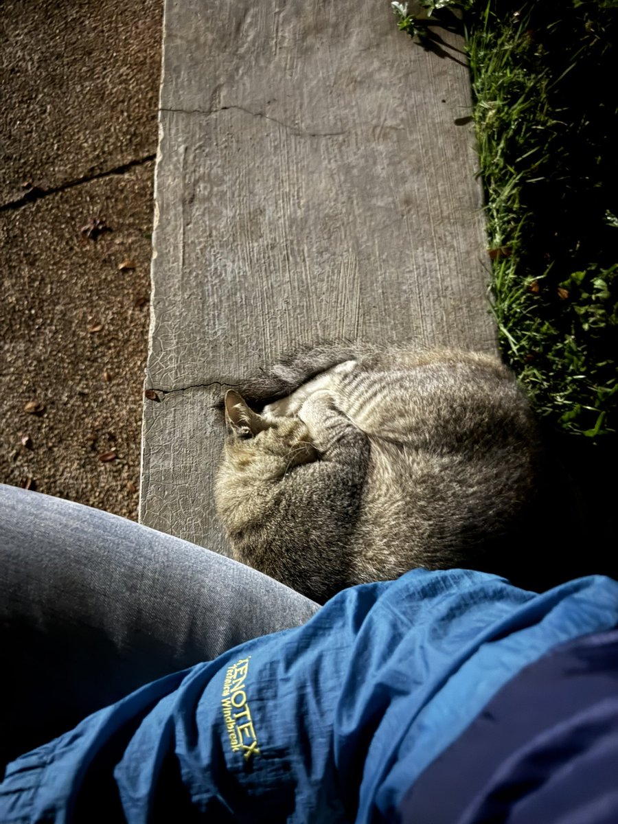 thirtytwo_9's tweet photo. Takde ke yang nak teman aku malam2 ni? https://t.co/MfzeUnSCM3