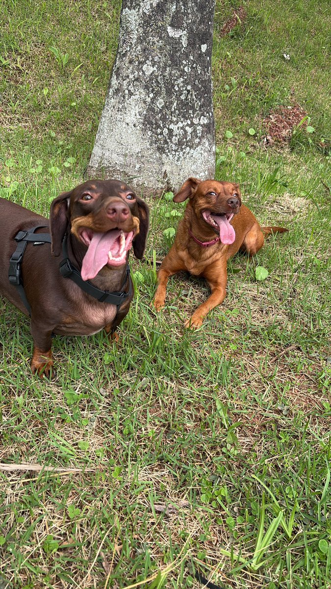 Reeh Fernanda tweet media