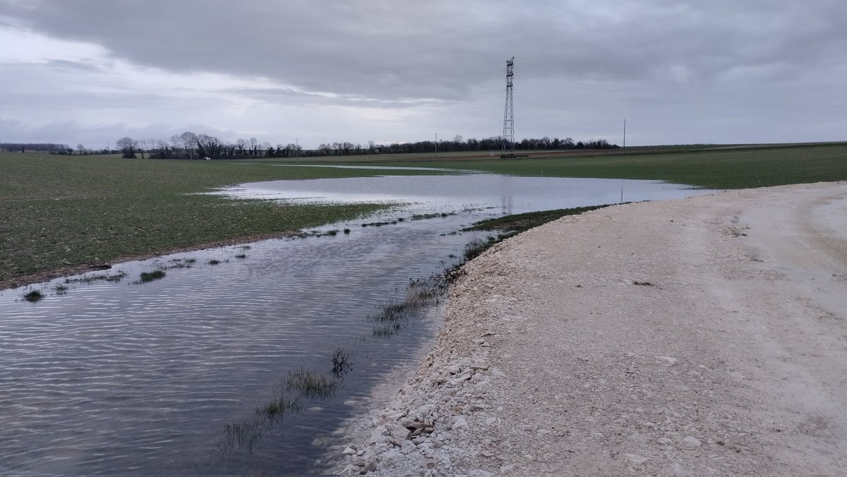 Marion B 🌻🌱 tweet media