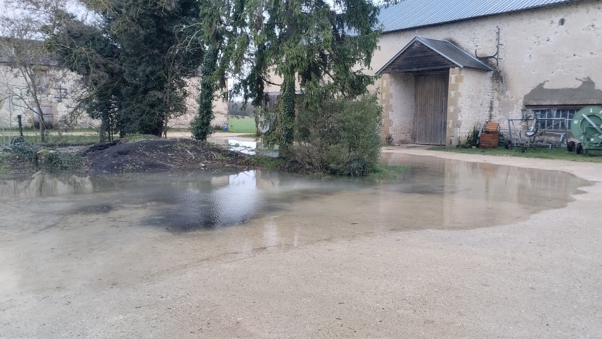 Marion B 🌻🌱 tweet media