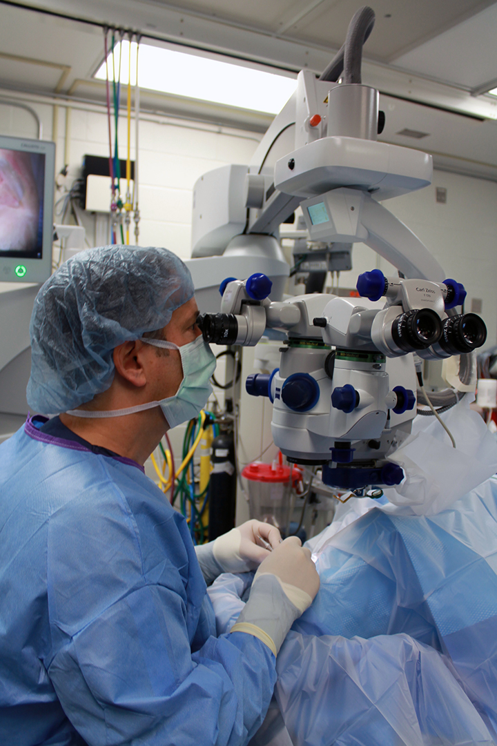 Flaum Eye Institute tweet media