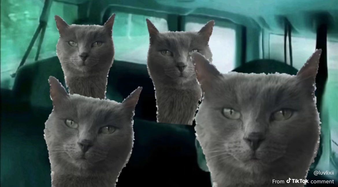 Lil Bit’s Humans tweet media