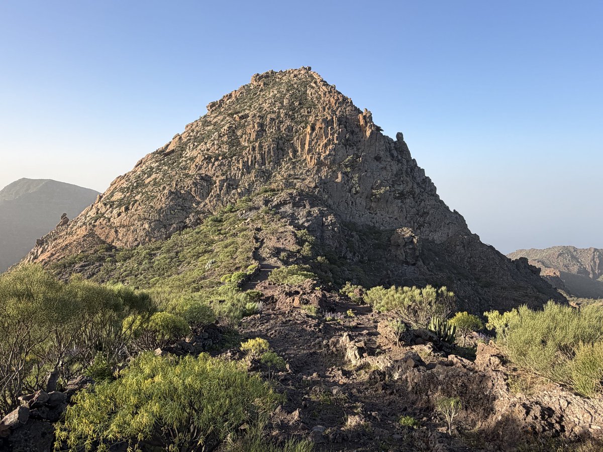 Gerard Sheehy tweet media